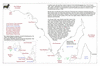 bau32 spencer gulf_thumb.gif
